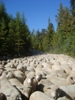 Alpine Sheep Tour