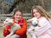 Lambing Tours