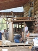 Shearing Tours