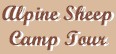 Alpine Sheep Camp Tour