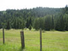 Camping on Aveley Ranch
