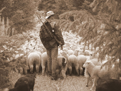 Welcome to Aveley Ranch